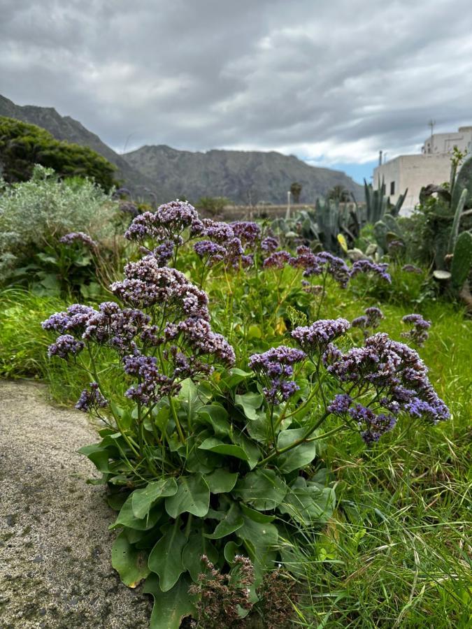 Aventura En Buenavista Del Norte Exteriér fotografie